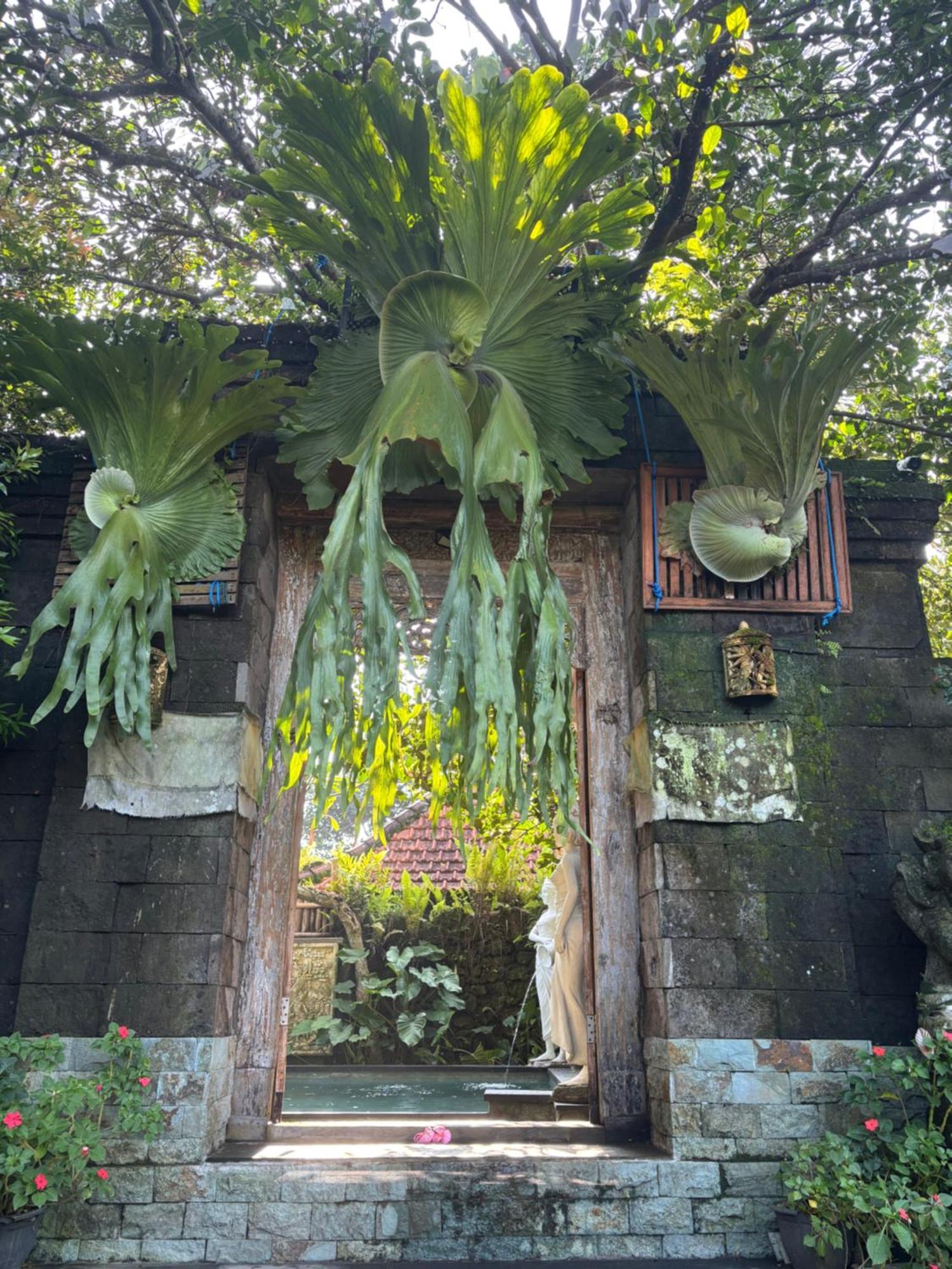 Bumbung Sari Villa Ubud Exteriér fotografie